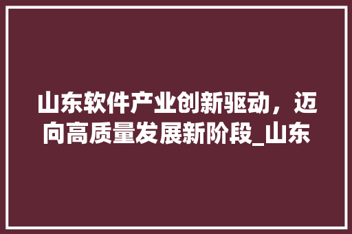 山东软件产业创新驱动，迈向高质量发展新阶段_山东多个关键词优化软件