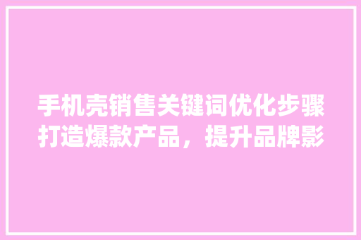 手机壳销售关键词优化步骤打造爆款产品，提升品牌影响力_手机壳销售关键词优化  第1张