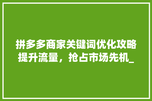 拼多多商家关键词优化攻略提升流量，抢占市场先机_拼多多商家关键词优化