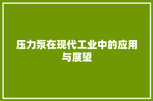 压力泵在现代工业中的应用与展望
