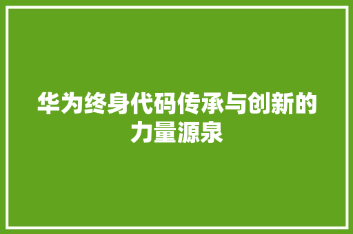 华为终身代码传承与创新的力量源泉
