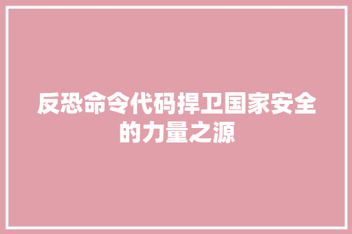 反恐命令代码捍卫国家安全的力量之源