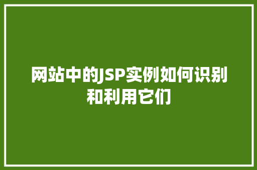 网站中的JSP实例如何识别和利用它们