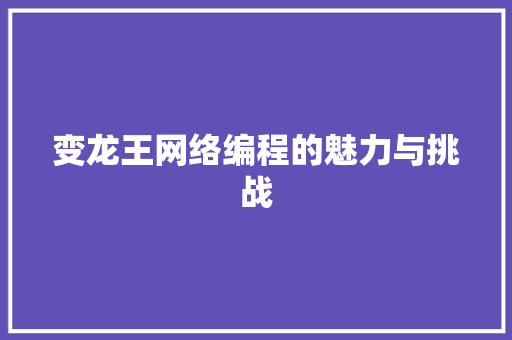 变龙王网络编程的魅力与挑战
