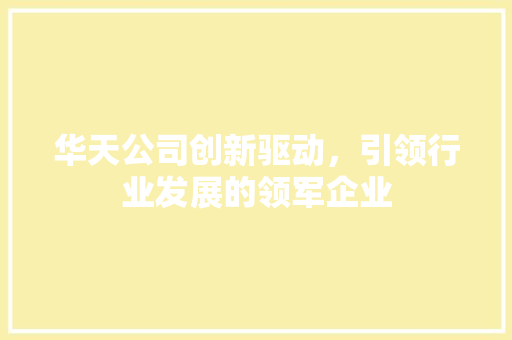 华天公司创新驱动，引领行业发展的领军企业