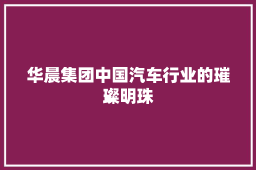 华晨集团中国汽车行业的璀璨明珠