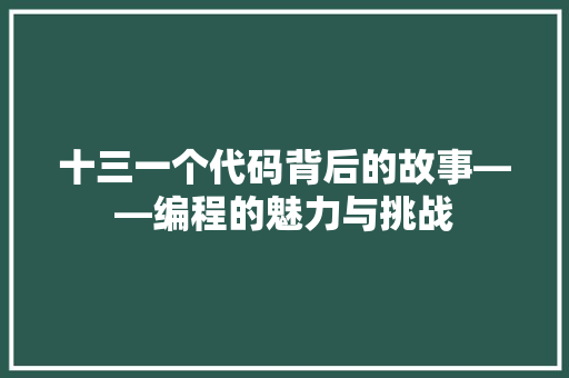 十三一个代码背后的故事——编程的魅力与挑战
