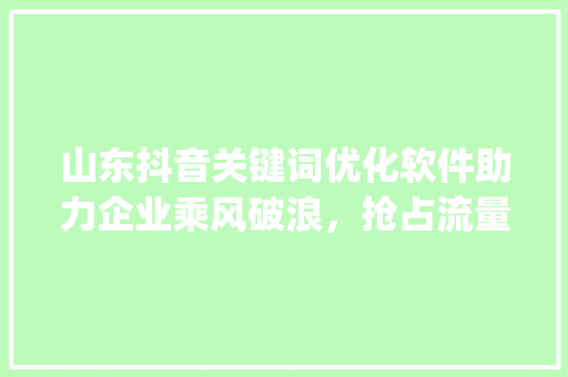山东抖音关键词优化软件助力企业乘风破浪，抢占流量风口_山东抖音关键词优化软件