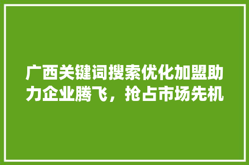 广西关键词搜索优化加盟助力企业腾飞，抢占市场先机_广西关键词搜索优化加盟