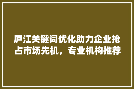 庐江关键词优化助力企业抢占市场先机，专业机构推荐_庐江关键词优化选哪家好