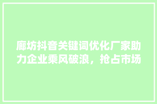 廊坊抖音关键词优化厂家助力企业乘风破浪，抢占市场先机_廊坊抖音关键词优化厂家