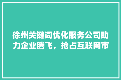 徐州关键词优化服务公司助力企业腾飞，抢占互联网市场制高点_徐州关键词优化服务公司
