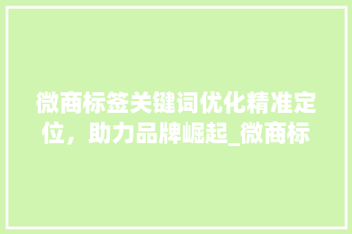 微商标签关键词优化精准定位，助力品牌崛起_微商标签关键词优化方法