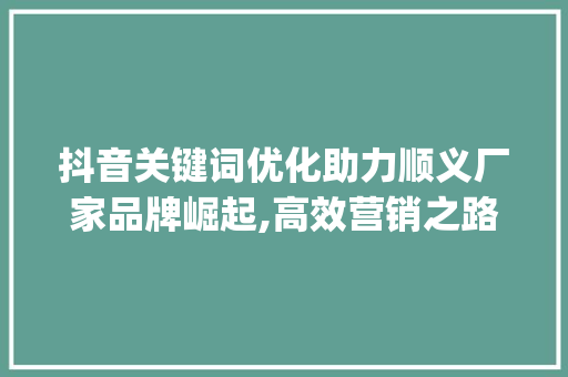 抖音关键词优化助力顺义厂家品牌崛起,高效营销之路_顺义抖音关键词优化厂家
