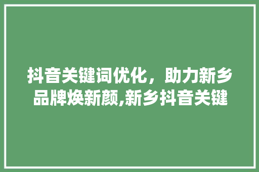 抖音关键词优化，助力新乡品牌焕新颜,新乡抖音关键词优化机构之路_新乡抖音关键词优化机构