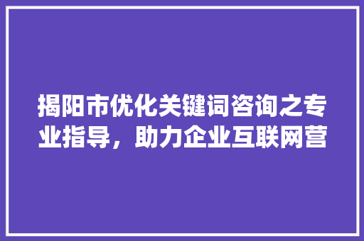 揭阳市优化关键词咨询之专业指导，助力企业互联网营销新篇章_揭阳优化关键词去哪咨询