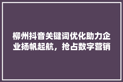 柳州抖音关键词优化助力企业扬帆起航，抢占数字营销制高点_柳州抖音关键词优化公司