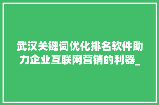 武汉关键词优化排名软件助力企业互联网营销的利器_武汉关键词优化排名软件