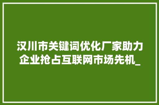 汉川市关键词优化厂家助力企业抢占互联网市场先机_汉川市关键词优化厂家