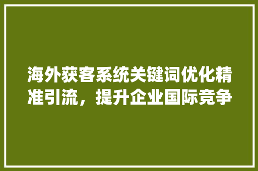 海外获客系统关键词优化精准引流，提升企业国际竞争力_海外获客系统关键词优化