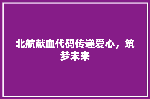 北航献血代码传递爱心，筑梦未来
