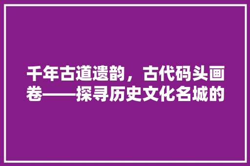千年古道遗韵，古代码头画卷——探寻历史文化名城的风华岁月
