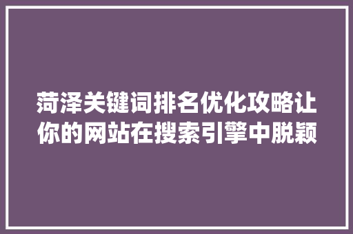 菏泽关键词排名优化攻略让你的网站在搜索引擎中脱颖而出_菏泽如何关键词排名优化
