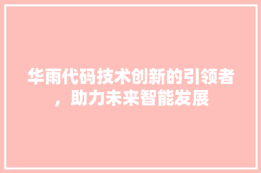 华雨代码技术创新的引领者，助力未来智能发展