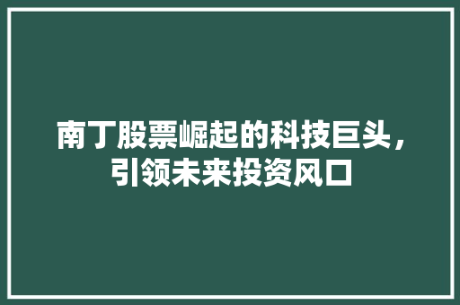 南丁股票崛起的科技巨头，引领未来投资风口