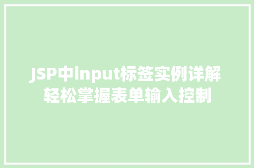 JSP中input标签实例详解轻松掌握表单输入控制