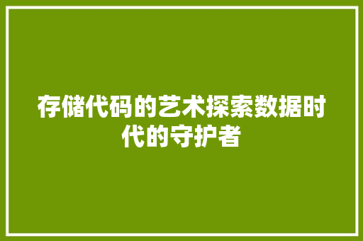 存储代码的艺术探索数据时代的守护者
