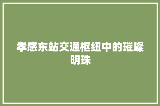 孝感东站交通枢纽中的璀璨明珠