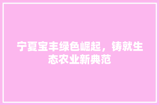 宁夏宝丰绿色崛起，铸就生态农业新典范