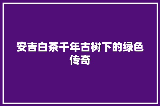 安吉白茶千年古树下的绿色传奇