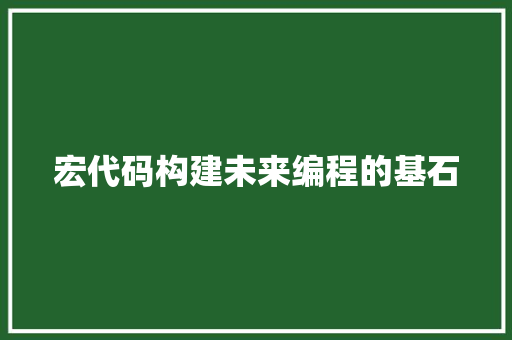 宏代码构建未来编程的基石  第1张