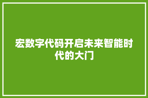 宏数字代码开启未来智能时代的大门