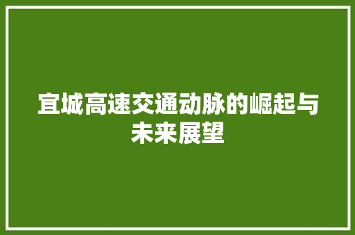 宜城高速交通动脉的崛起与未来展望