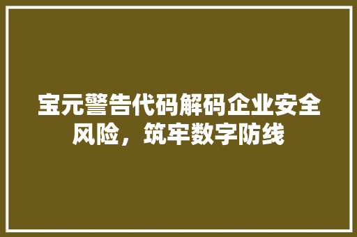 宝元警告代码解码企业安全风险，筑牢数字防线