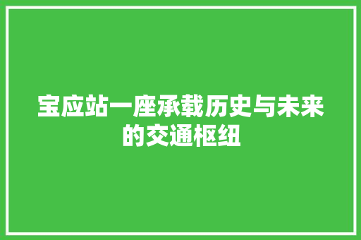 宝应站一座承载历史与未来的交通枢纽