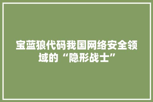 宝蓝狼代码我国网络安全领域的“隐形战士”