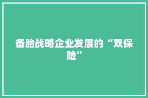 备胎战略企业发展的“双保险”