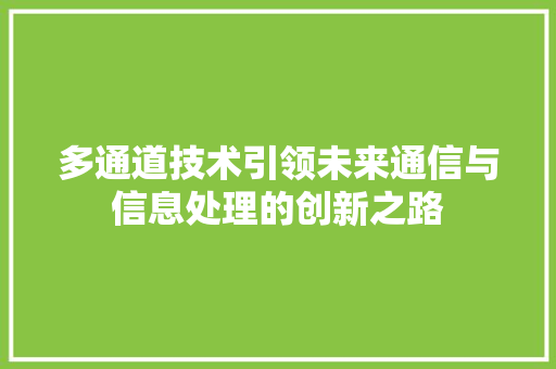 多通道技术引领未来通信与信息处理的创新之路