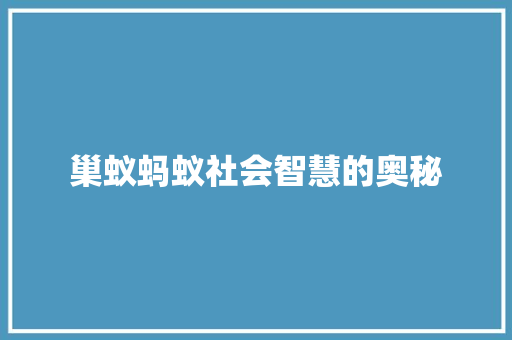 巢蚁蚂蚁社会智慧的奥秘
