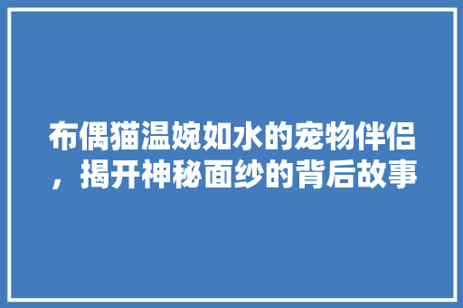 布偶猫温婉如水的宠物伴侣，揭开神秘面纱的背后故事