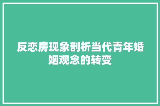 反恋房现象剖析当代青年婚姻观念的转变