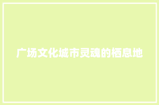 广场文化城市灵魂的栖息地