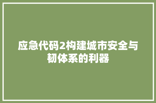 应急代码2构建城市安全与韧体系的利器
