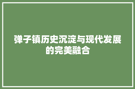 弹子镇历史沉淀与现代发展的完美融合