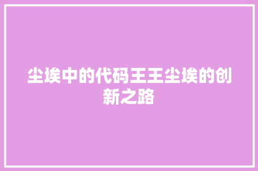 尘埃中的代码王王尘埃的创新之路