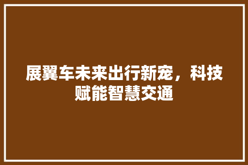 展翼车未来出行新宠，科技赋能智慧交通
